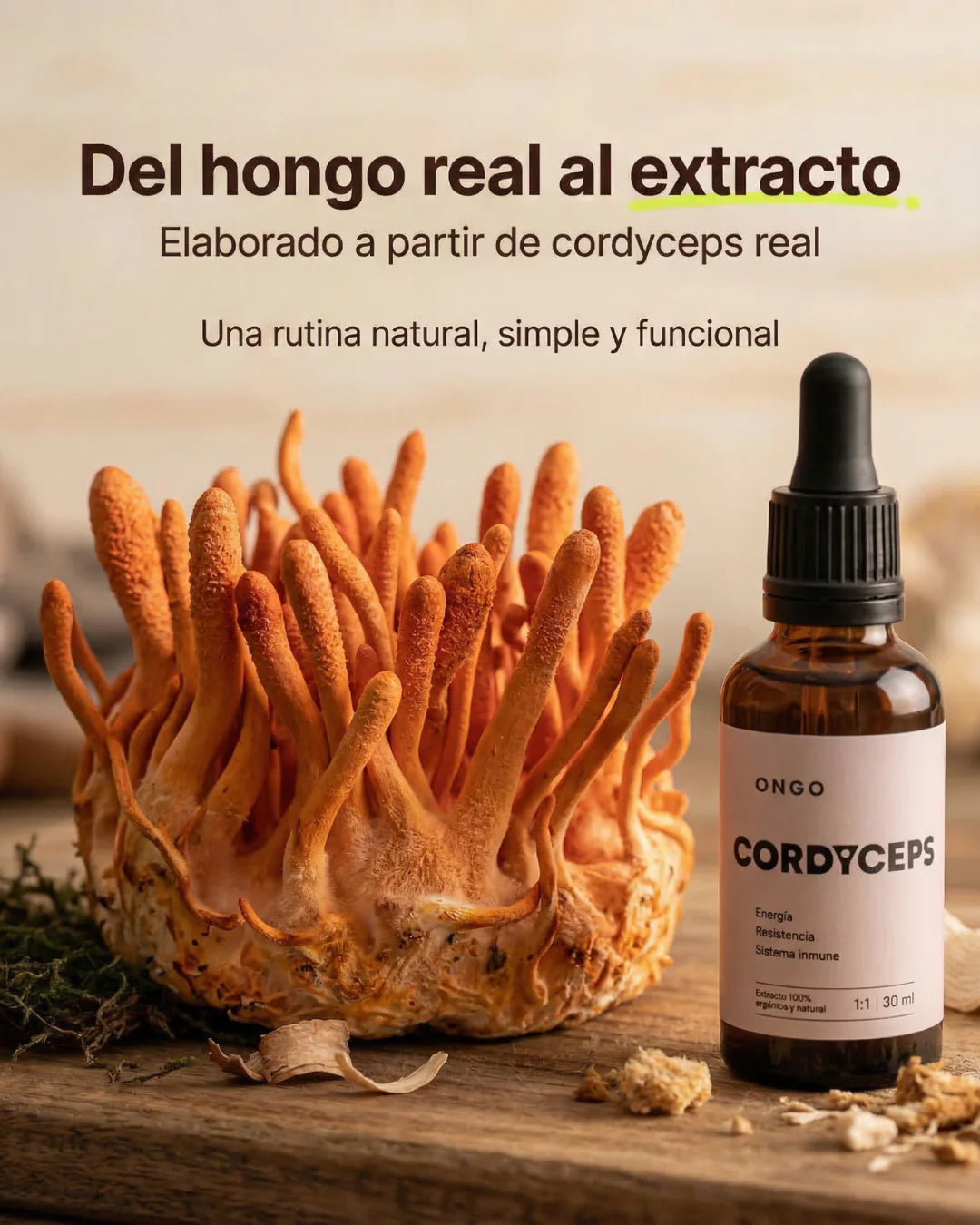 Cordyceps en gotas - ONGO