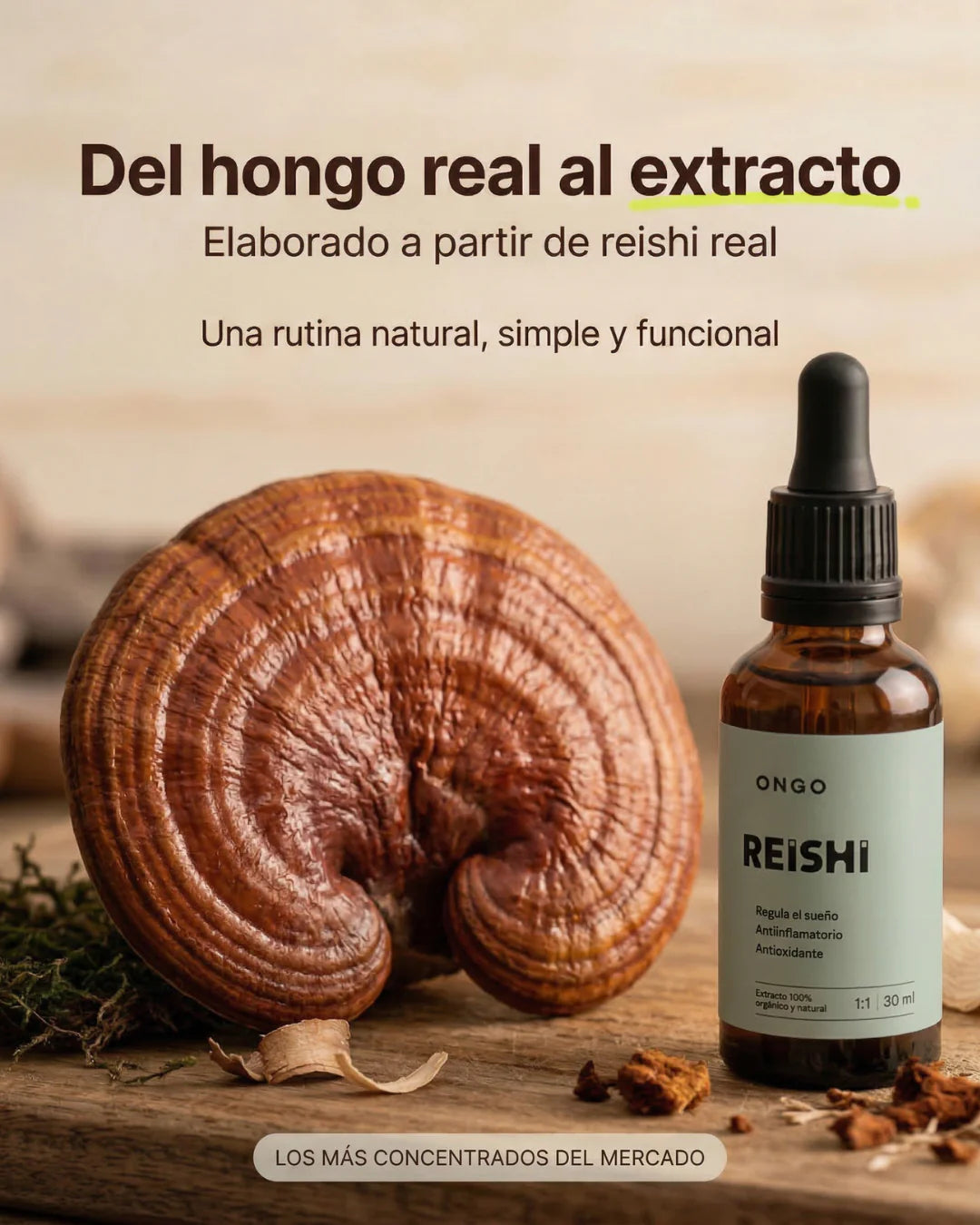 Reishi en gotas - ONGO